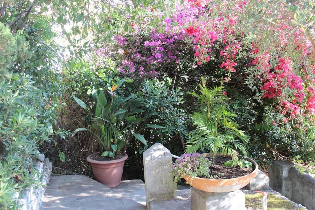Ferienwohnung Casa Letizia Taormina Exterior foto